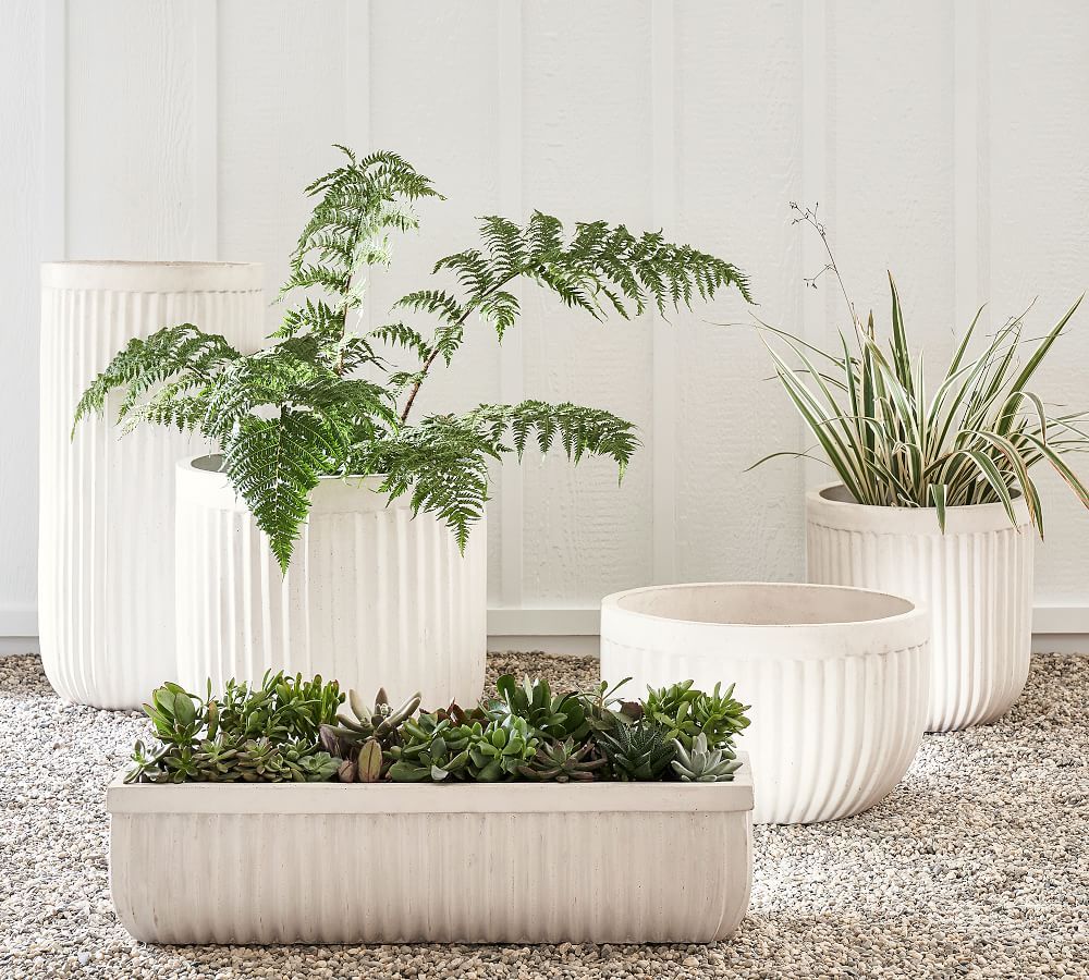 Concrete Fluted Planter - Chalk | Pottery Barn (US)