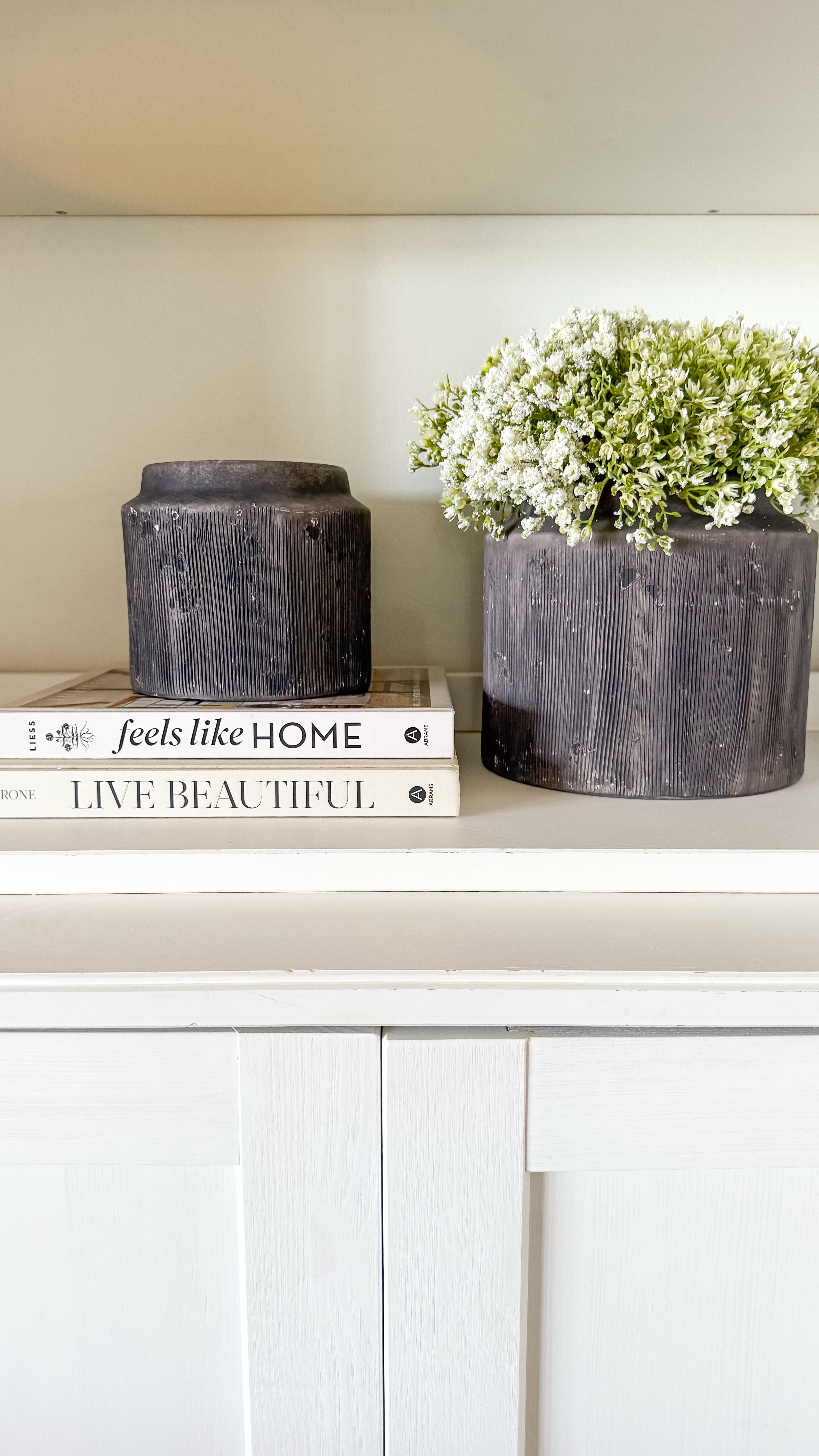 Let’s style a shelf 

These planters were a best seller last year and  they brought them back this year!! 

They have a distressed, vintage finish 
Come in two sizes 

They have a drainage hole to use as a traditional planter, but you can also use them for faux stems, add a candle to them, even use the larger one as a kitchen utensils holder 

#LTKFindsUnder50 #LTKHome #LTKWatchNow