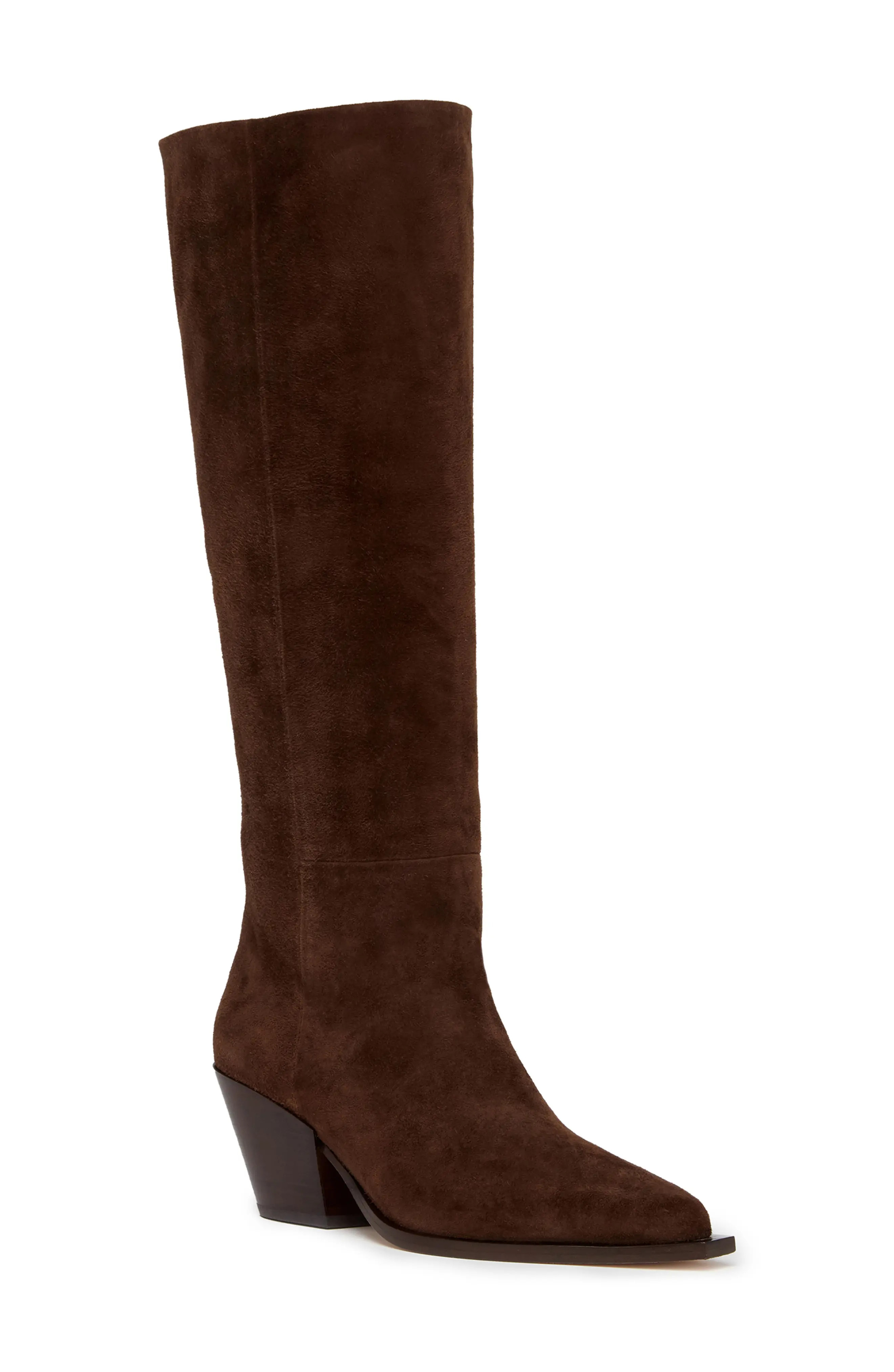 Lillian Pointed Toe Knee High Boot (Women) | Nordstrom | Nordstrom