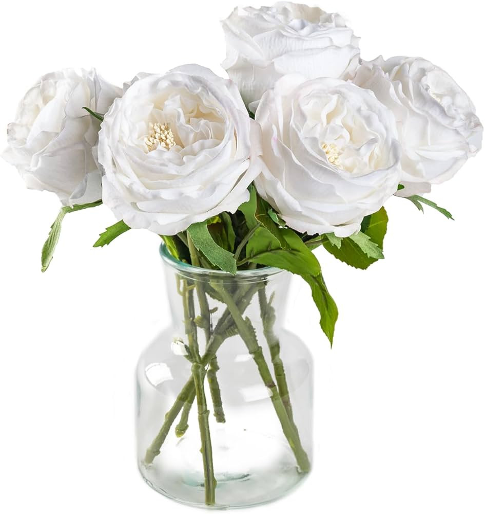 DuHouse 5Pcs Silk Roses Fake White Roses with Stems Real Touch Rose Artificial Flowers for Arrang... | Amazon (US)