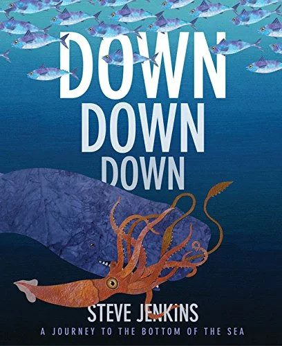 Down, Down, Down: A Journey To The Bottom Of The Sea, Pre-Owned  Hardcover  0618966366 9780618966... | Walmart (US)