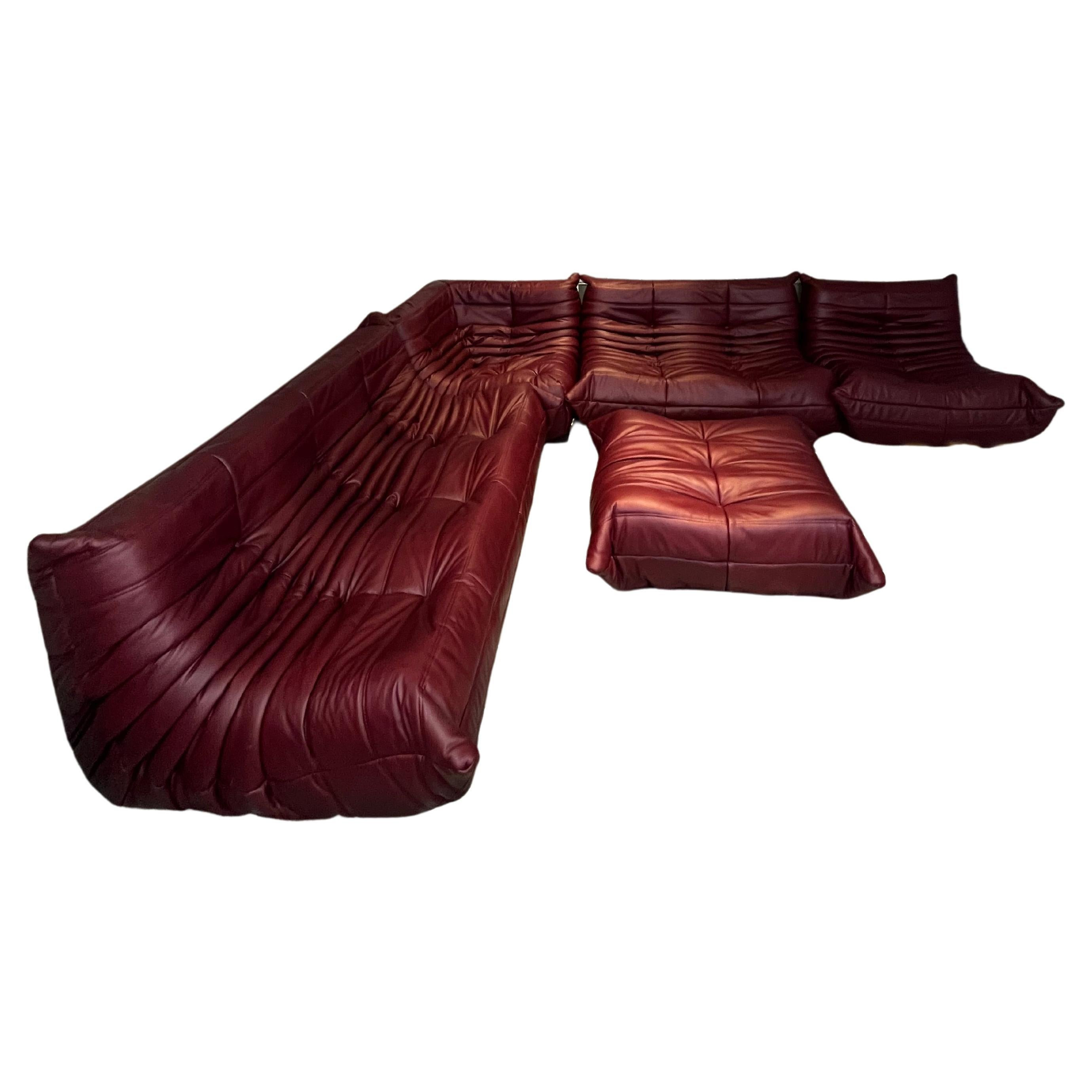 Togo Sofa by Michel Ducaroy for Ligne Roset, Set of 5 | 1stDibs