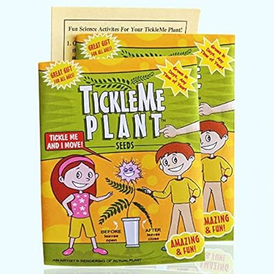 TickleMe Plant Seeds Packets (2) Easter Egg Stuffer or Party Favor! Leaves Fold Together When You... | Amazon (US)