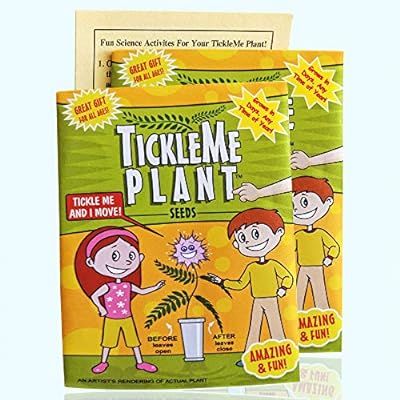 TickleMe Plant Seeds Packets (2) Easter Egg Stuffer or Party Favor! Leaves Fold Together When You... | Amazon (US)