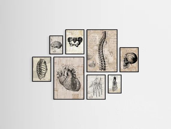 set of 8 gallery wall vintage anatomy printable | anatomy artwork | skeleton wall art | halloween... | Etsy (US)