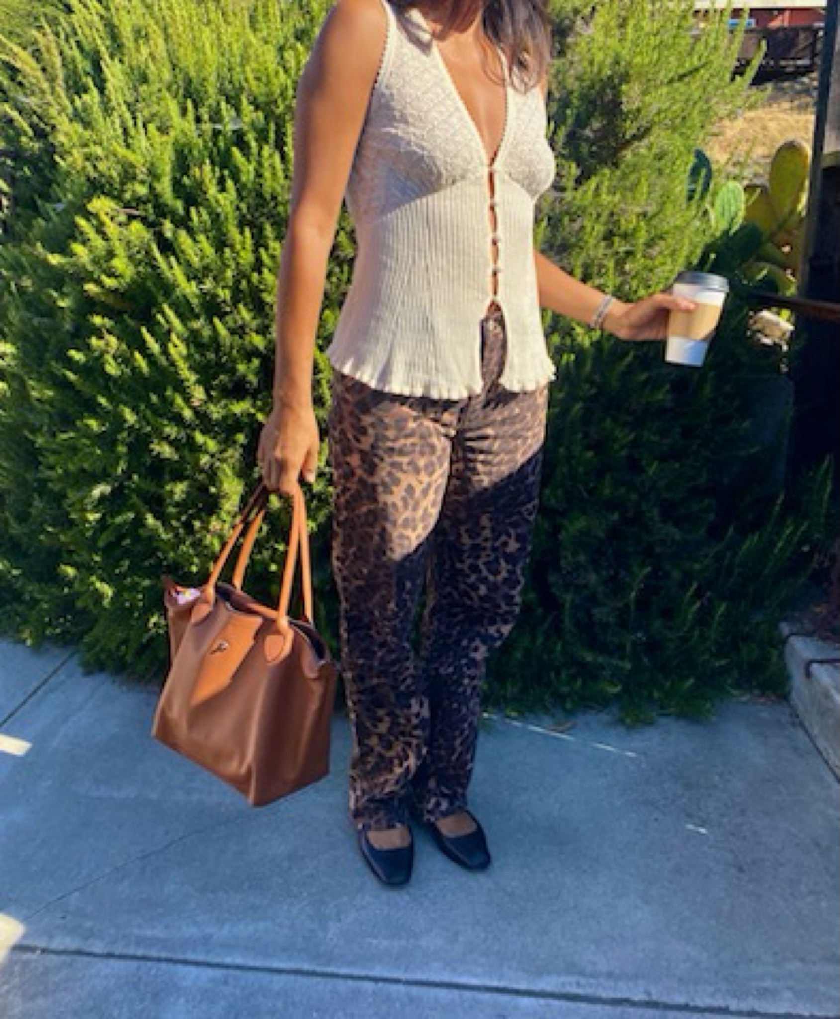 Leopard in the wild of Cambria.

#LTKStyleTip #LTKSeasonal #LTKTravel