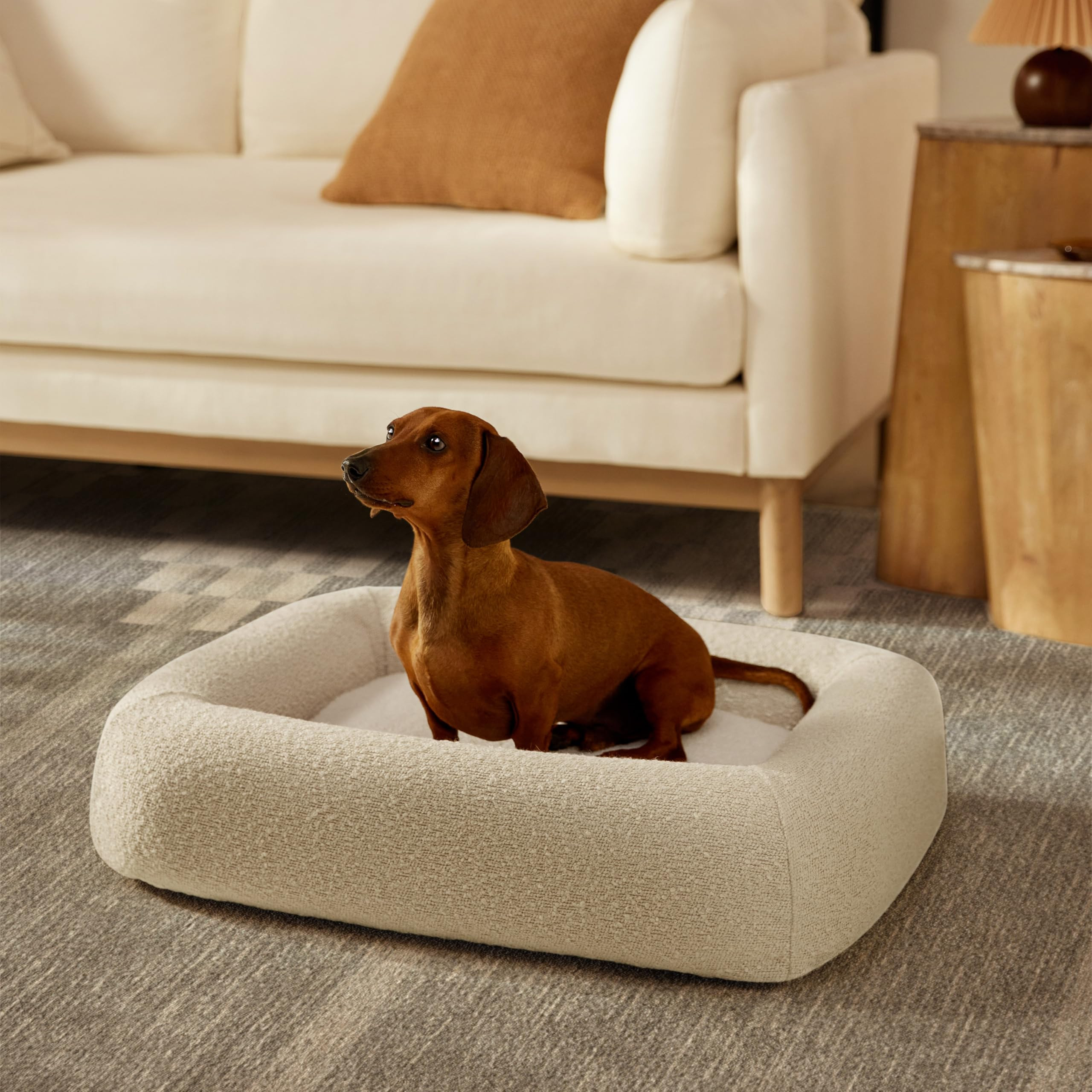 Ruggable Small Dog Bed Indestructible Washable Waterproof Cover Calming Memory Foam, Plush Crate ... | Amazon (US)
