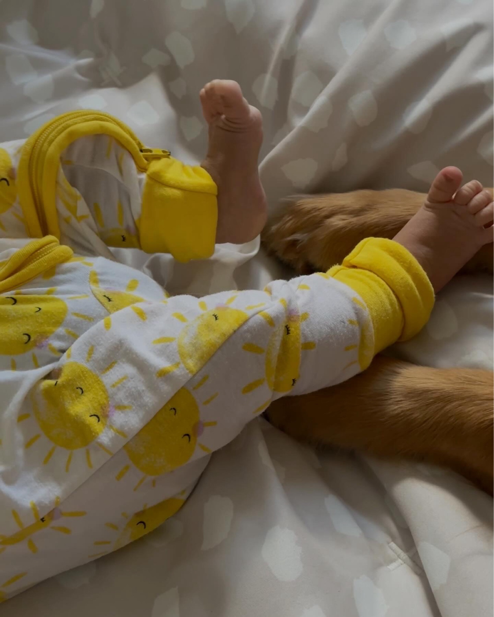 our favorite onesies 🌞 

#newborn #babyfavorites 