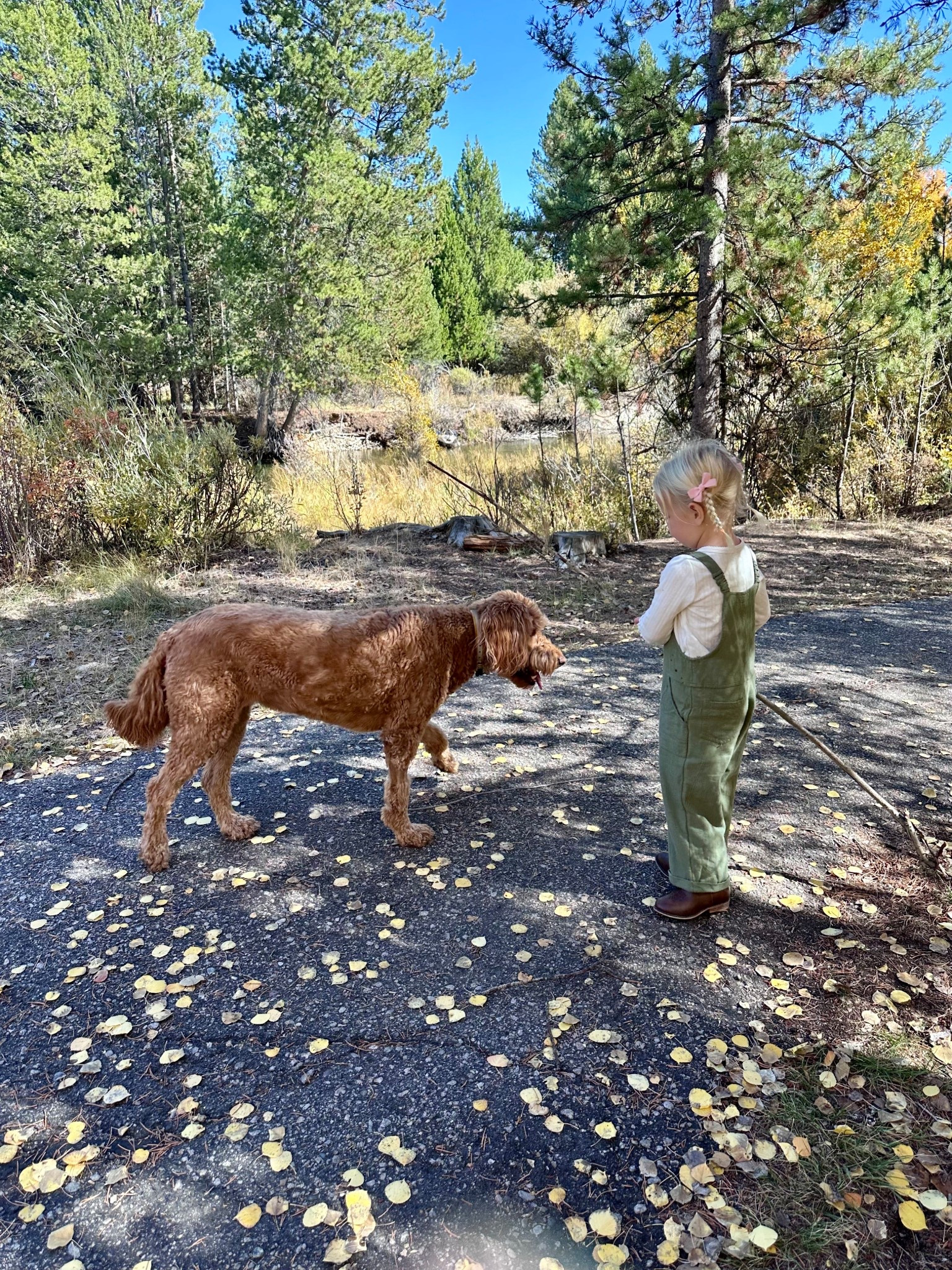 This green jumpsuit paired with a cream pointelle tee and the cutest western boots = comfy, stylish, and totally kid-approved fall fashion! A cozy, photo-ready look that’s perfect for back to school, family photos, and everything in between. ✨ #LTKKids #FallFamilyPhotos #BackToSchoolStyle #ToddlerFallFashion #PreschoolStyle #WesternBoots #FallOutfitInspo #CozyKidsStyle #MiniStyle #LTKBacktoSchool #LTKFindsUnder50 #LTKFamily

#LTKKids #LTKSeasonal #LTKBaby