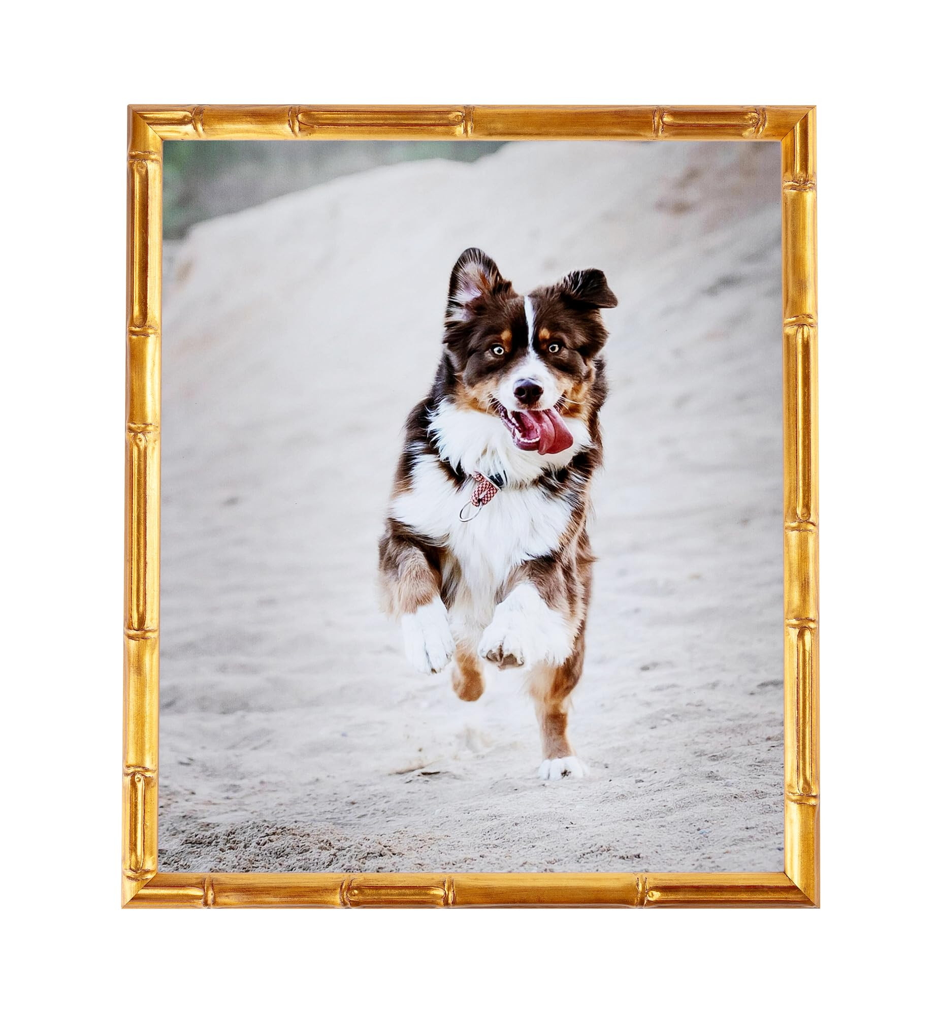 ArtToFrames 8x8 Inch Gold Picture Frame, This 0.75 Inch Custom Wood Poster Frame is .75 - Comes w... | Amazon (US)