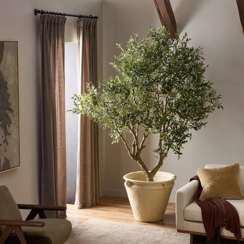 Faux Olive Tree Wide-Faux Olive Tree Wide-8' | Wayfair North America