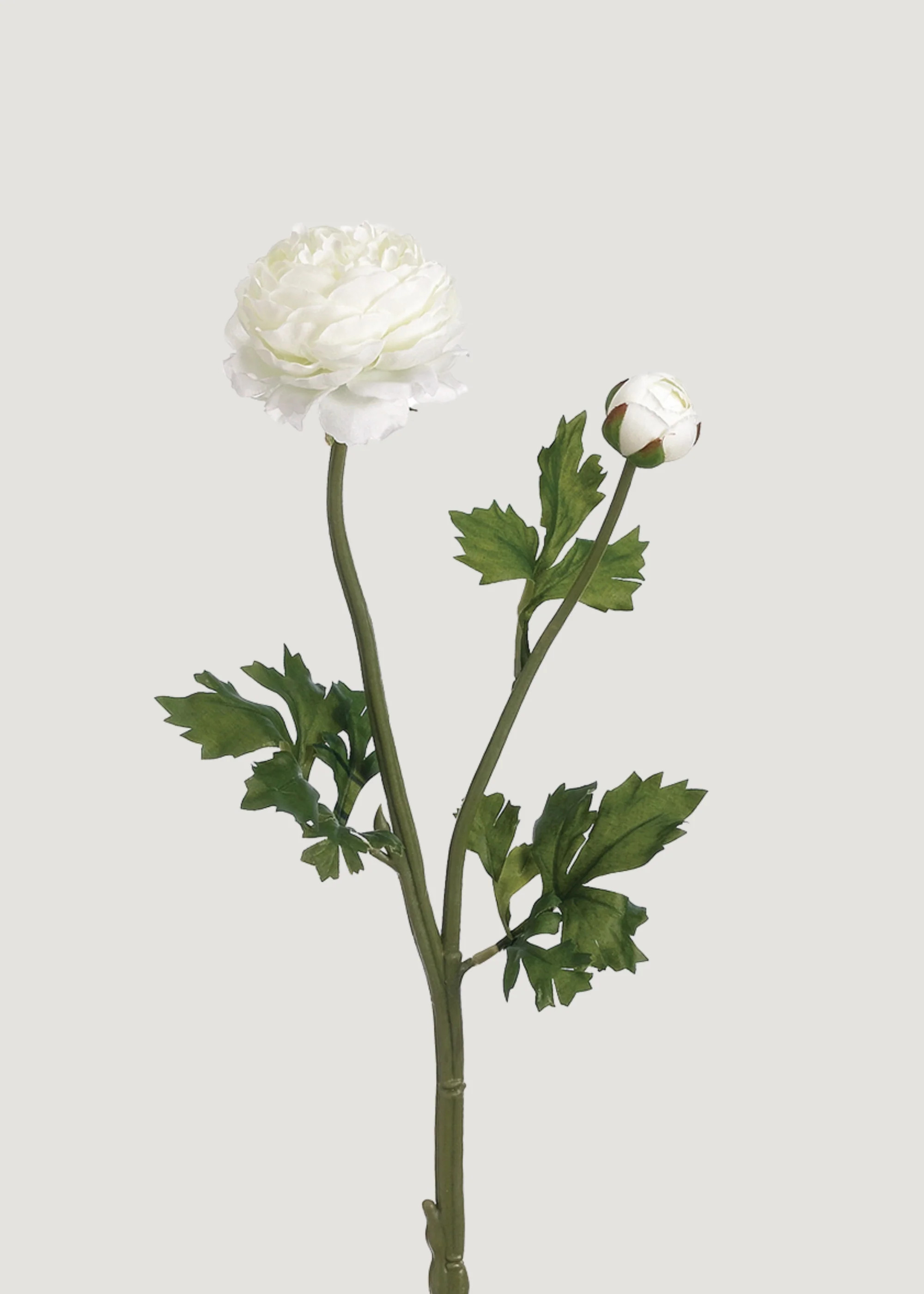 Ranunculus Stem in White | Permanent Artificial Flowers | Afloral | Afloral