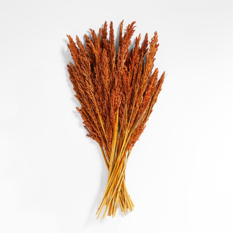 Orange Dried Sudan Grass Bunch + Reviews | Crate & Barrel | Crate & Barrel