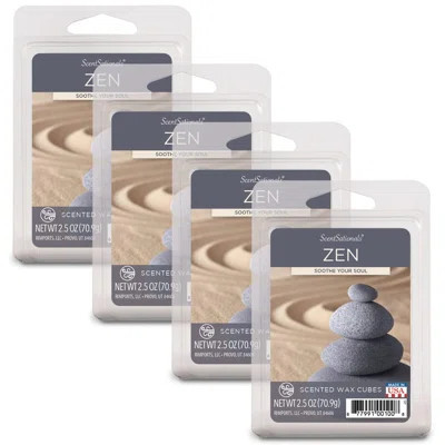 ScentSationals 4PK Wax Melt Collection | Wayfair North America
