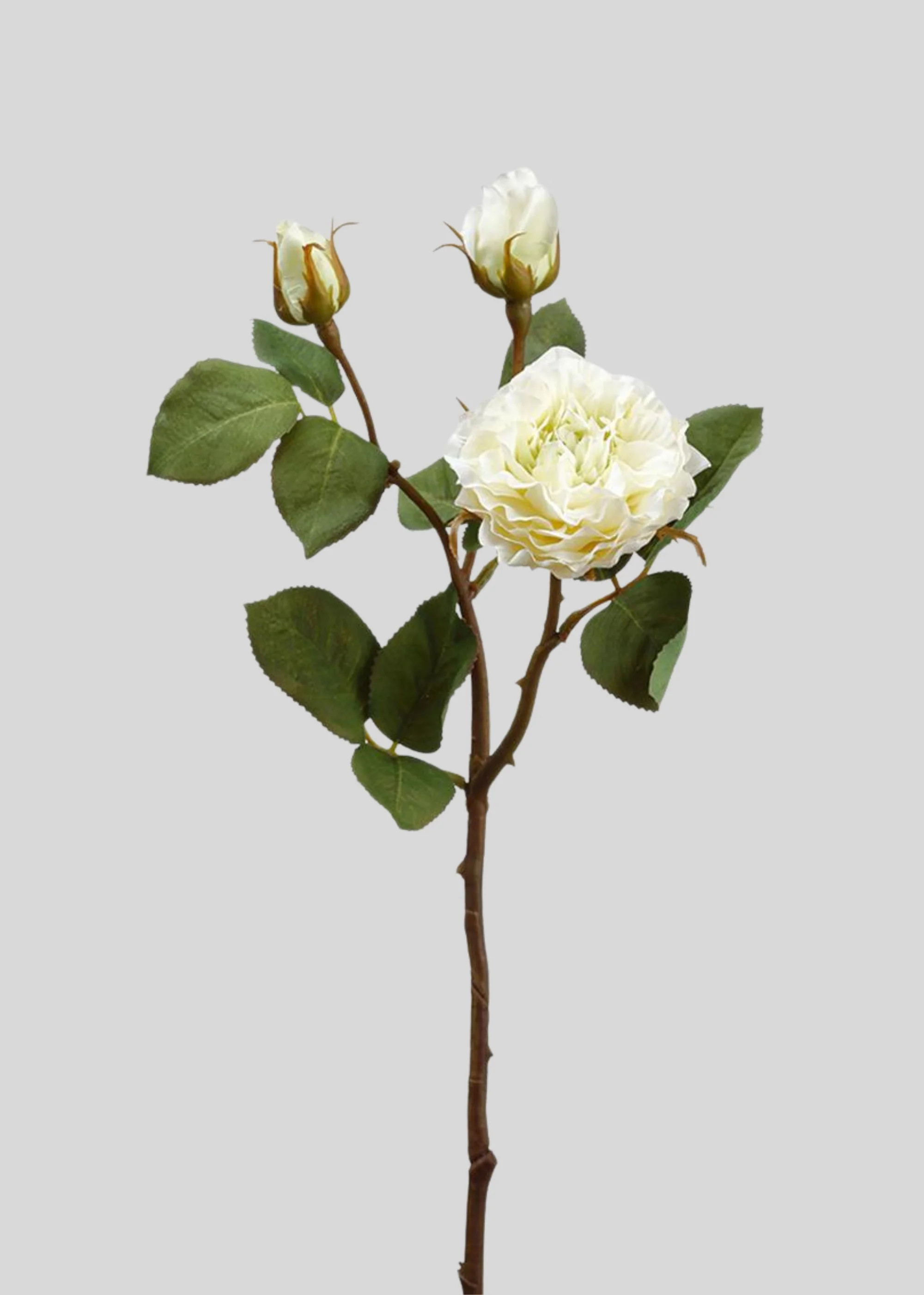 Artificial Blooming Rose Spray in Cream - 18.75" | Afloral