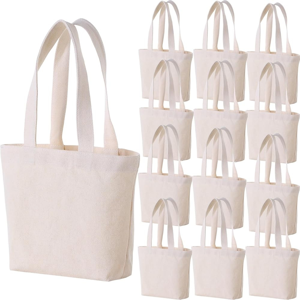 Firecolor Chic 10" x 8" x 3"Mini Canvas Tote Bags for Fabric Painting Cotton Sturdy Bag Heavy-dut... | Amazon (US)