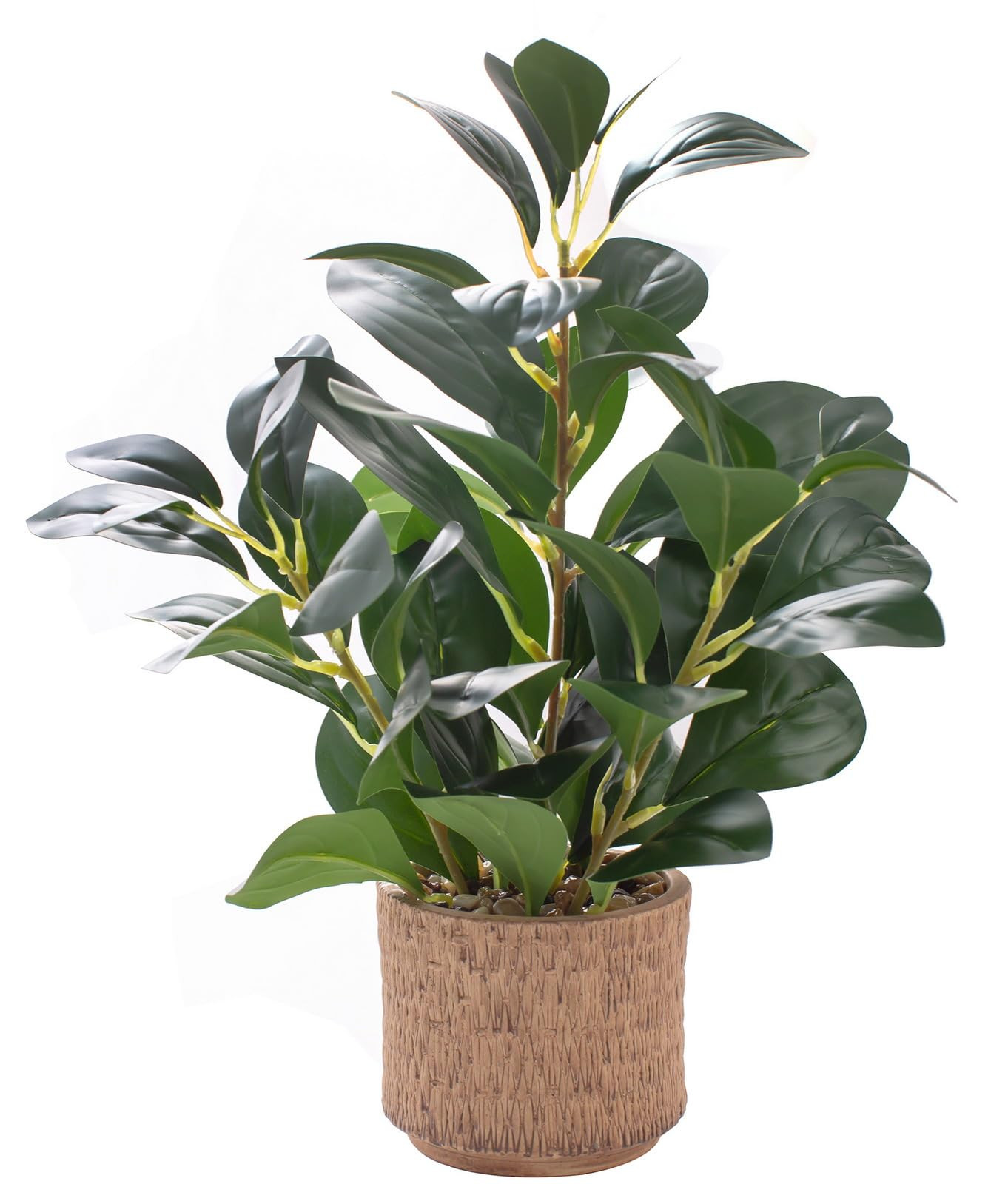 12.6" Fake Plants in Brown Ceramic Vase Real Looking and Touching Evergreen Ficus Leaf Faux Plant... | Amazon (US)