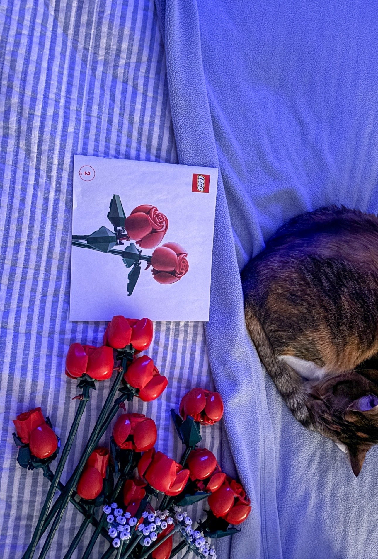 A cozy Sunday with Nala, making Lego flowers while catch up on my show. They look so pretty in my Jonathan Adler vases 🥰 & the best part? They never wilt. 

#LTKFindsUnder50 #LTKSaleAlert #LTKHome