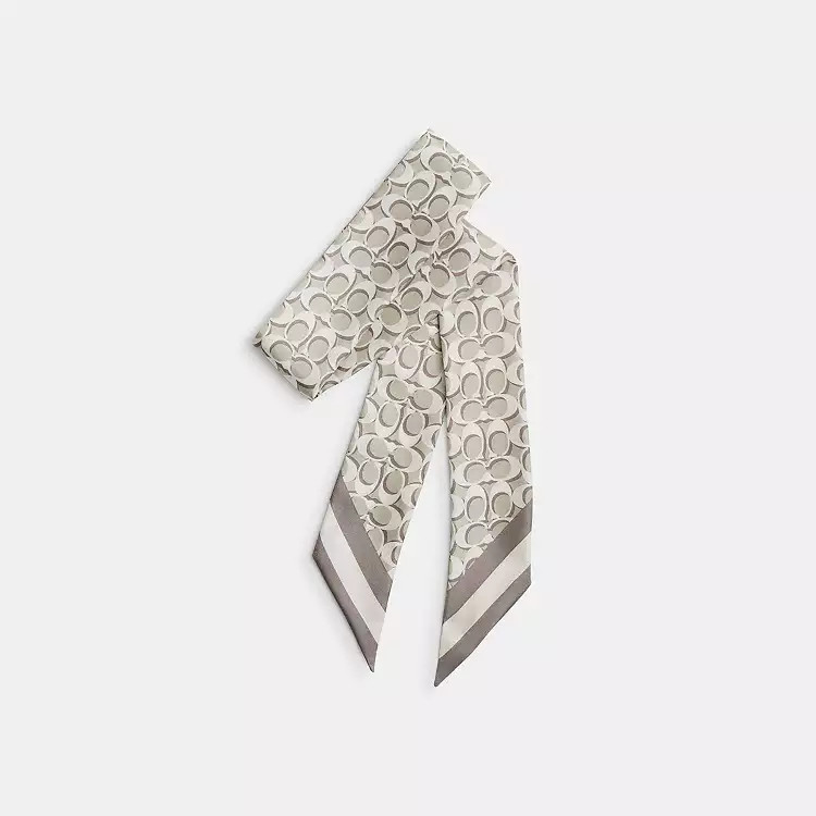 Signature Silk Skinny Scarf | Coach (US)
