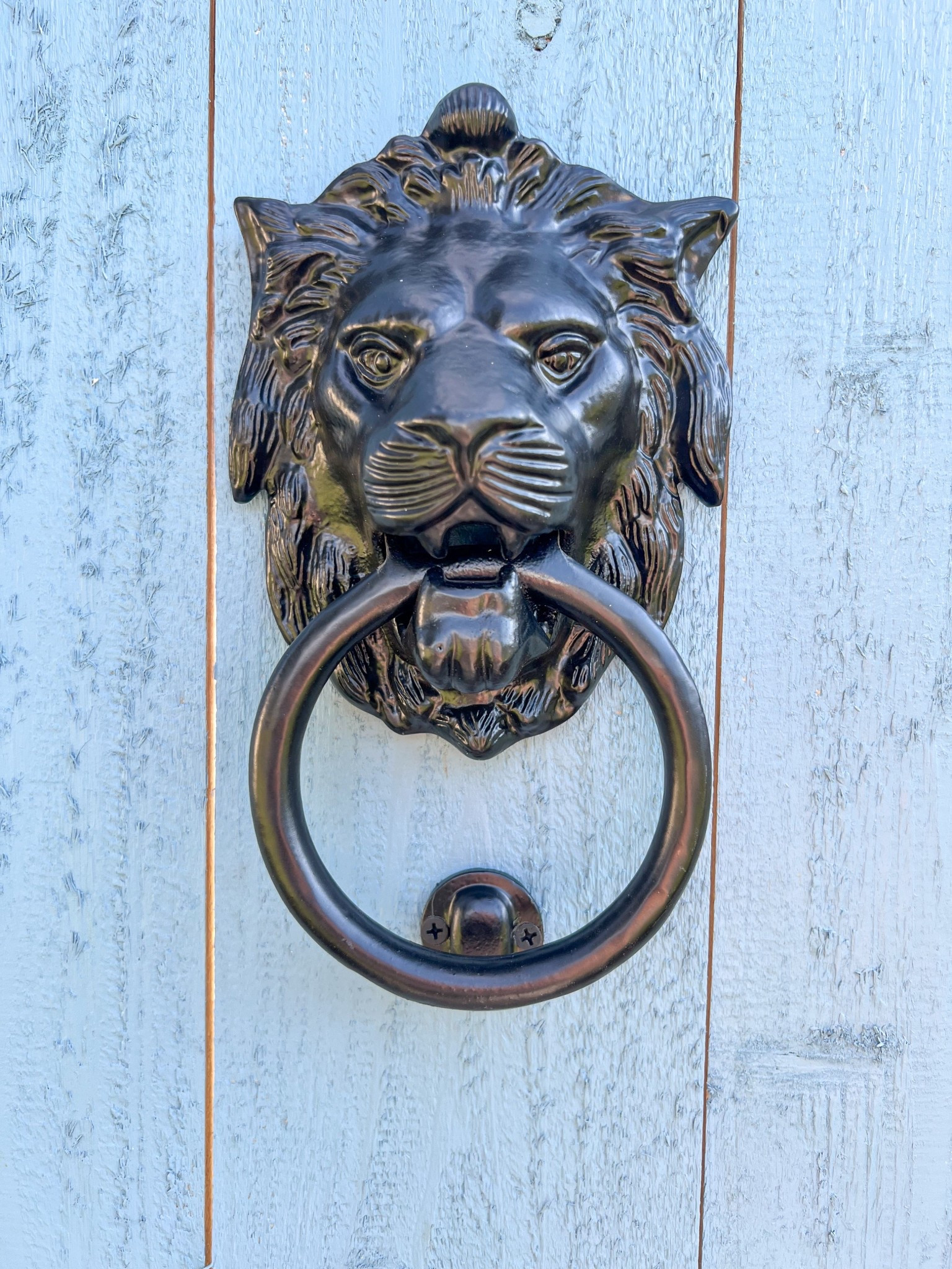 SALE Black cast iron lion head door knocker
Antique home decor accent
Fence door COTTAGE gate
French blue
Affordable 
Amazon finds 
GRAND MILLENNIAL STYLE

#LTKFindsUnder50 #LTKHome #LTKSaleAlert