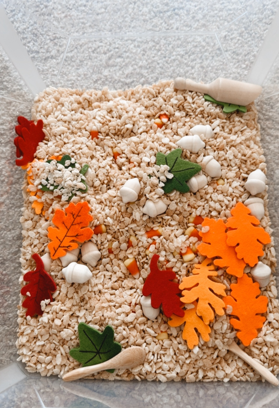 Fall sensory bin 

#LTKSeasonal #LTKKids #LTKBaby