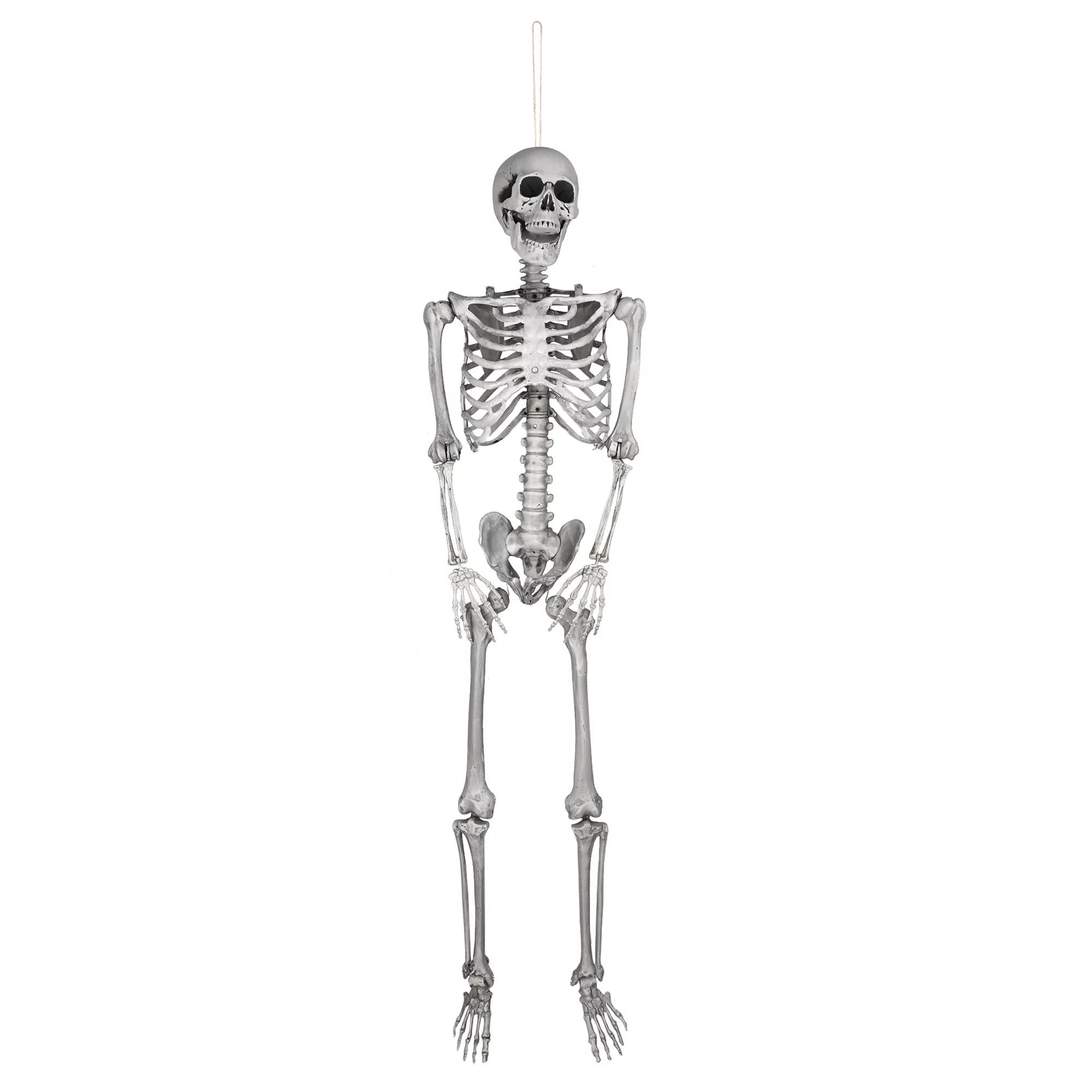 5ft Full Body Skeleton Props with Movable Joints for Halloween Party Decoration - Walmart.com | Walmart (US)