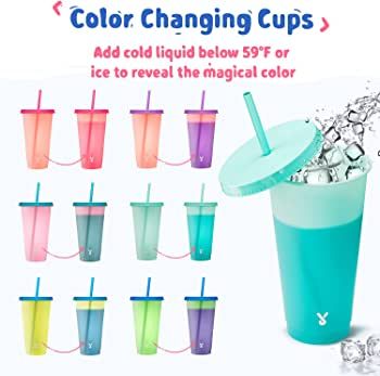 Meoky Plastic Cups with Lids and Straws - 6 Pack 24 oz Color Changing Cups with Lids and Straws B... | Amazon (US)