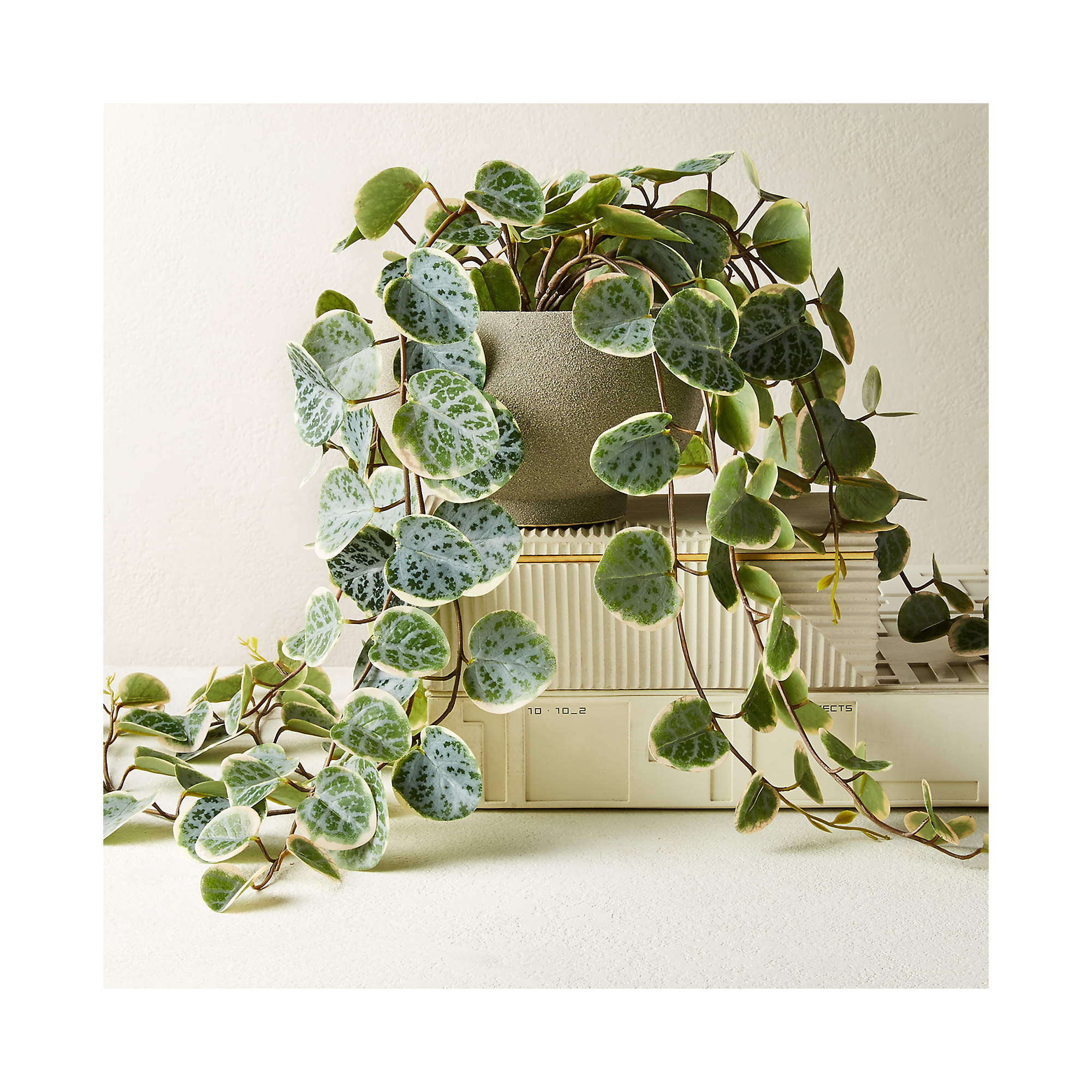 Potted Faux Eucalyptus 8" + Reviews | CB2 | CB2