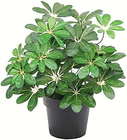 Leaf Artificial Arboricola Evergreen Plant | Amazon (US)