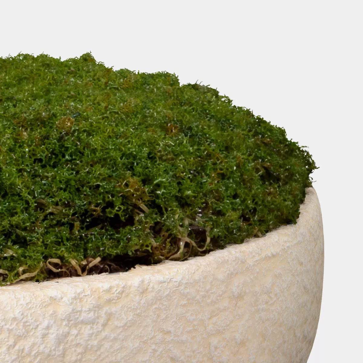 Small Moss Bowl - Threshold™ | Target