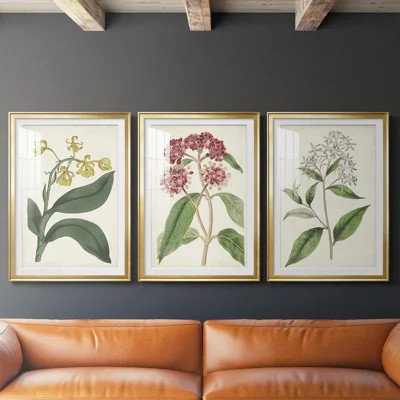 Antique Botanical Collection X  -Custom Framed  Premium Print W Matt - 3 Pieces | Wayfair North America
