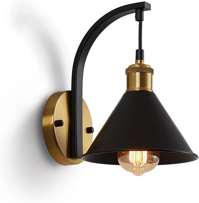 KINBEDY Gooseneck Wall Sconce, Farmhouse Wall Mount Light, Indoor Vintage Wall Lighting Fixture, ... | Amazon (US)