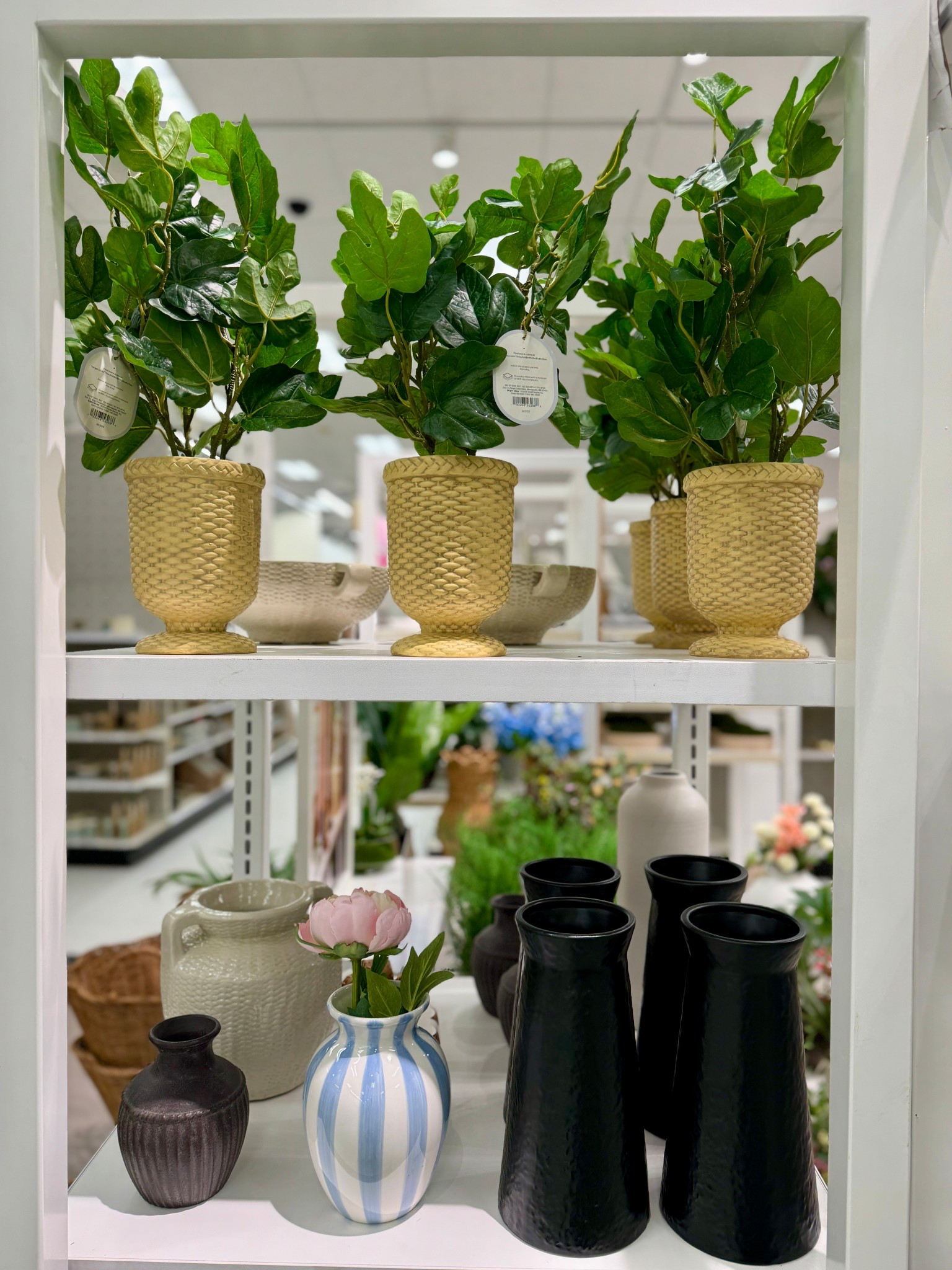 Spring home decor finds 🩷

#LTKdayinmylife #LTKHome #LTKSeasonal