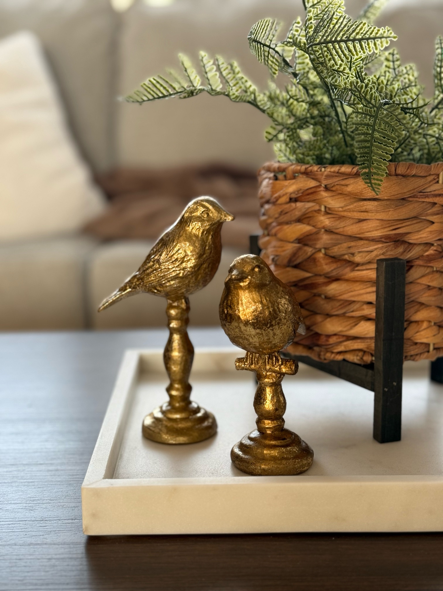 Got these cute little birdies at #michaels on sale!

#LTKHome #LTKSaleAlert