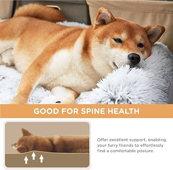 Human Sized Dog Bed, Dog Bed for Humans, Giant Dog Bed with Washable Fluffy Faux Fur Cover, 72"x4... | Amazon (US)