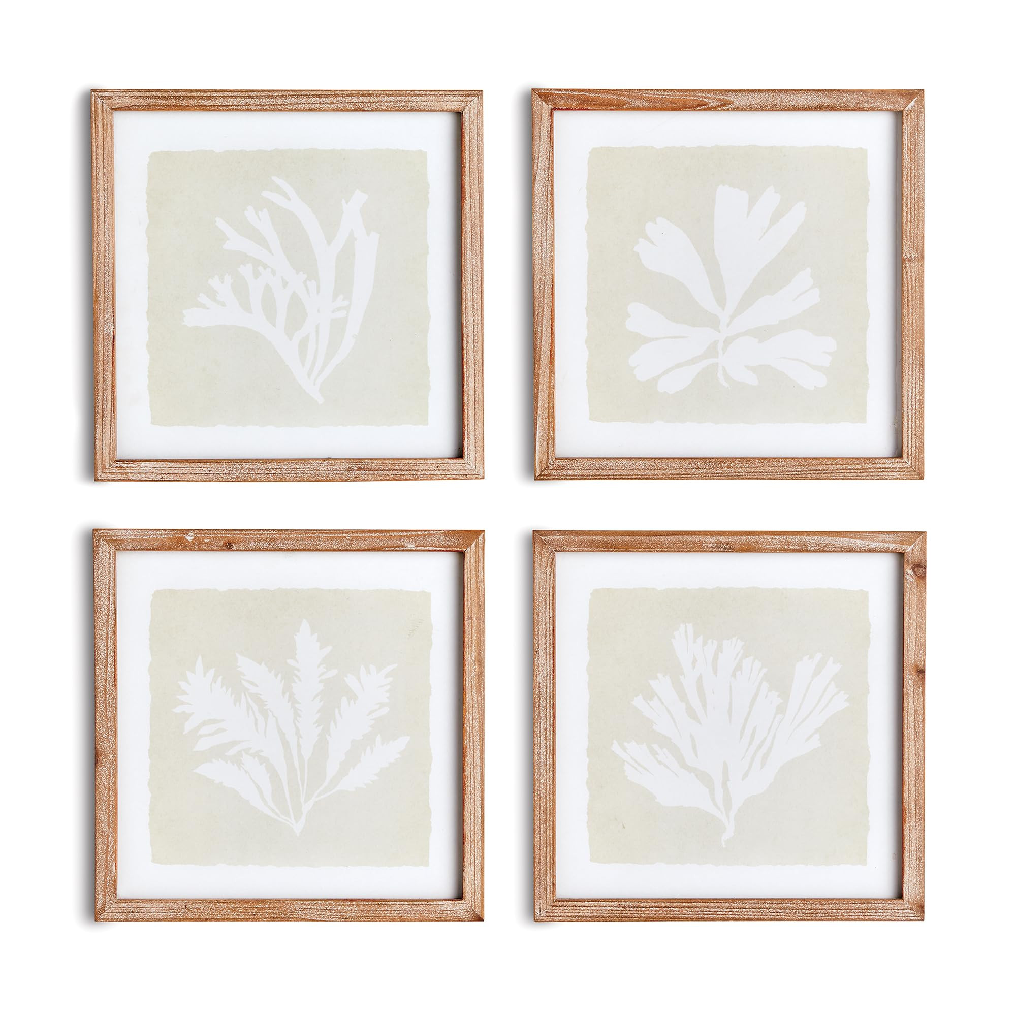 Napa Home & Garden Seaweed Petite Prints Set of 4 - Charming Kelp Silhouette Art Prints for Coast... | Amazon (US)