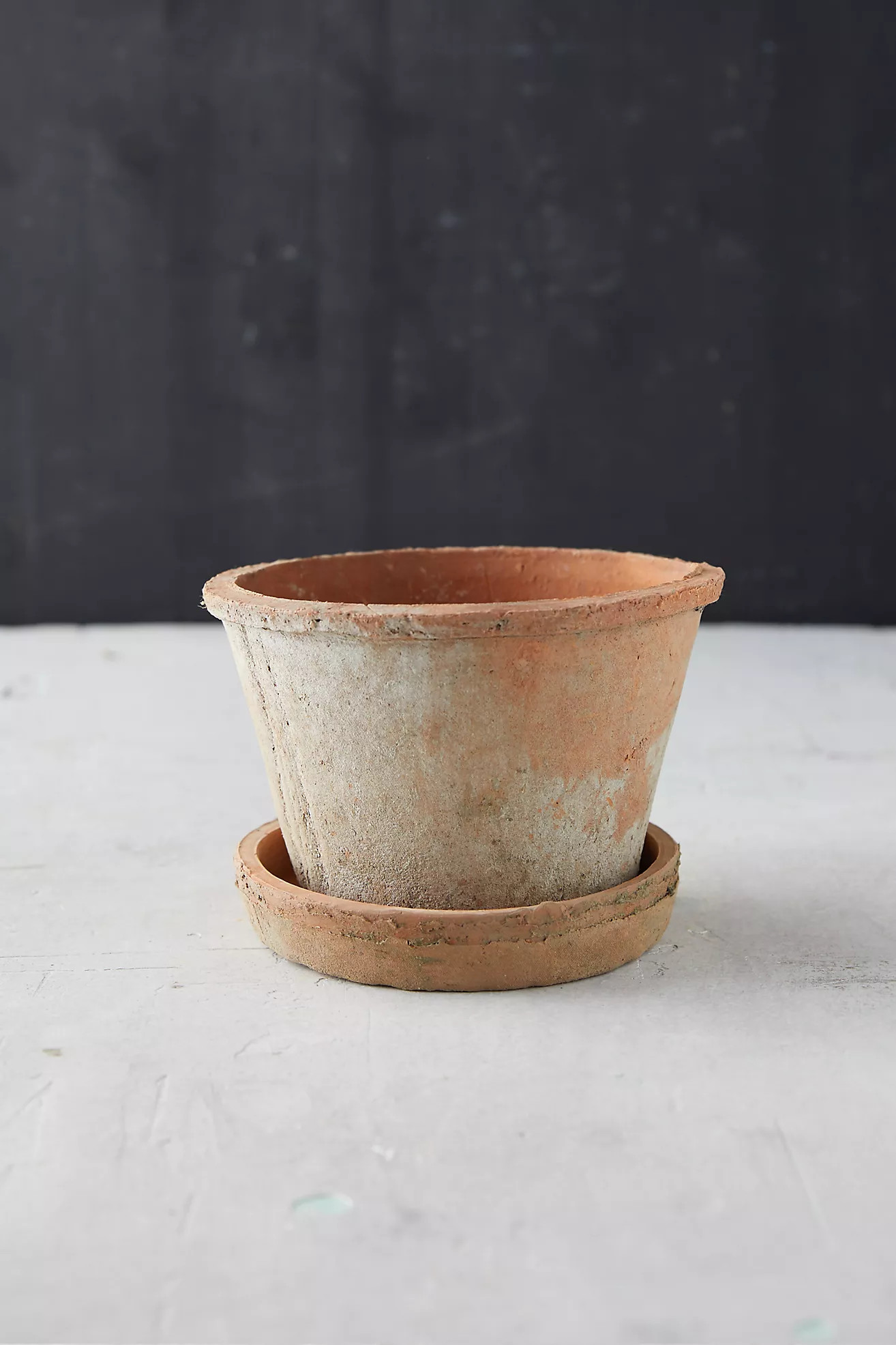 Earth Fired Clay Thin Rim Pot + Saucer Set | Terrain