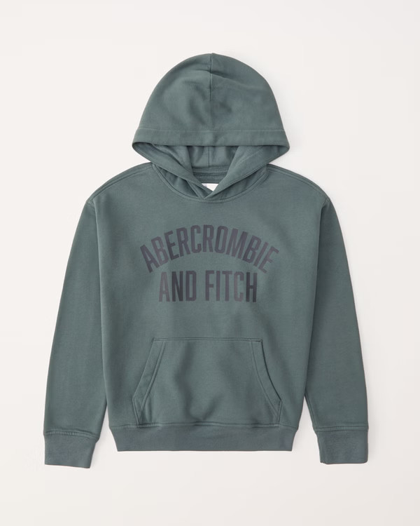 print logo popover hoodie | Abercrombie & Fitch (US)