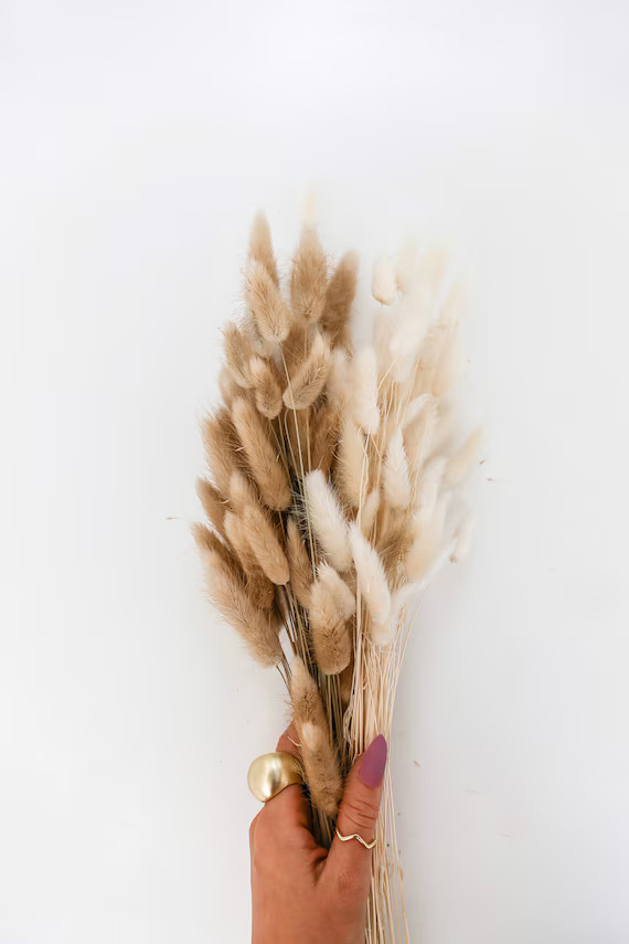 Natural shadows (natural, white, light pink )  Bunny tails grass 50|100|150 stems| | lagurus gras... | Etsy (US)