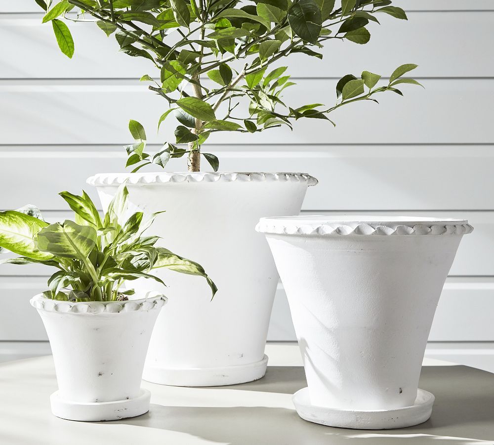 Provence Scalloped Edge Outdoor Planters | Pottery Barn (US)