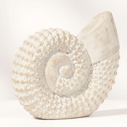 Coastal Seashell Decorative Figurine – Handcrafted Polyresin Nautical Decor Sculpture – Figur... | Amazon (US)