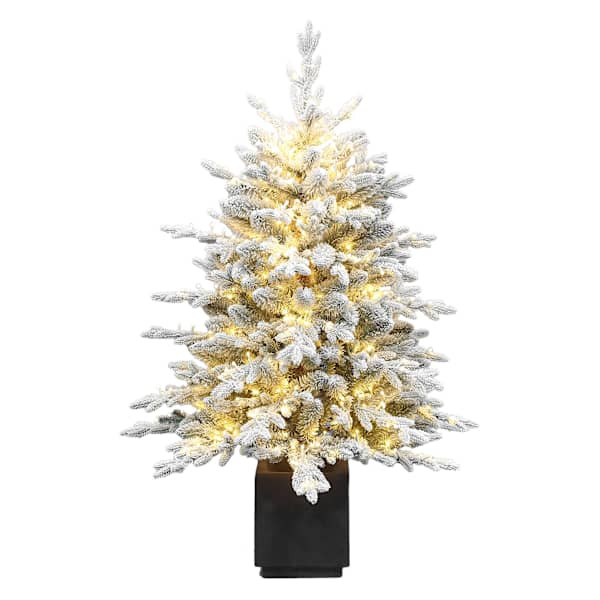 Pre-Lit Flocked Bradley Spruce Porch Tree, 4', White, Plastic, sold by At Home | At Home