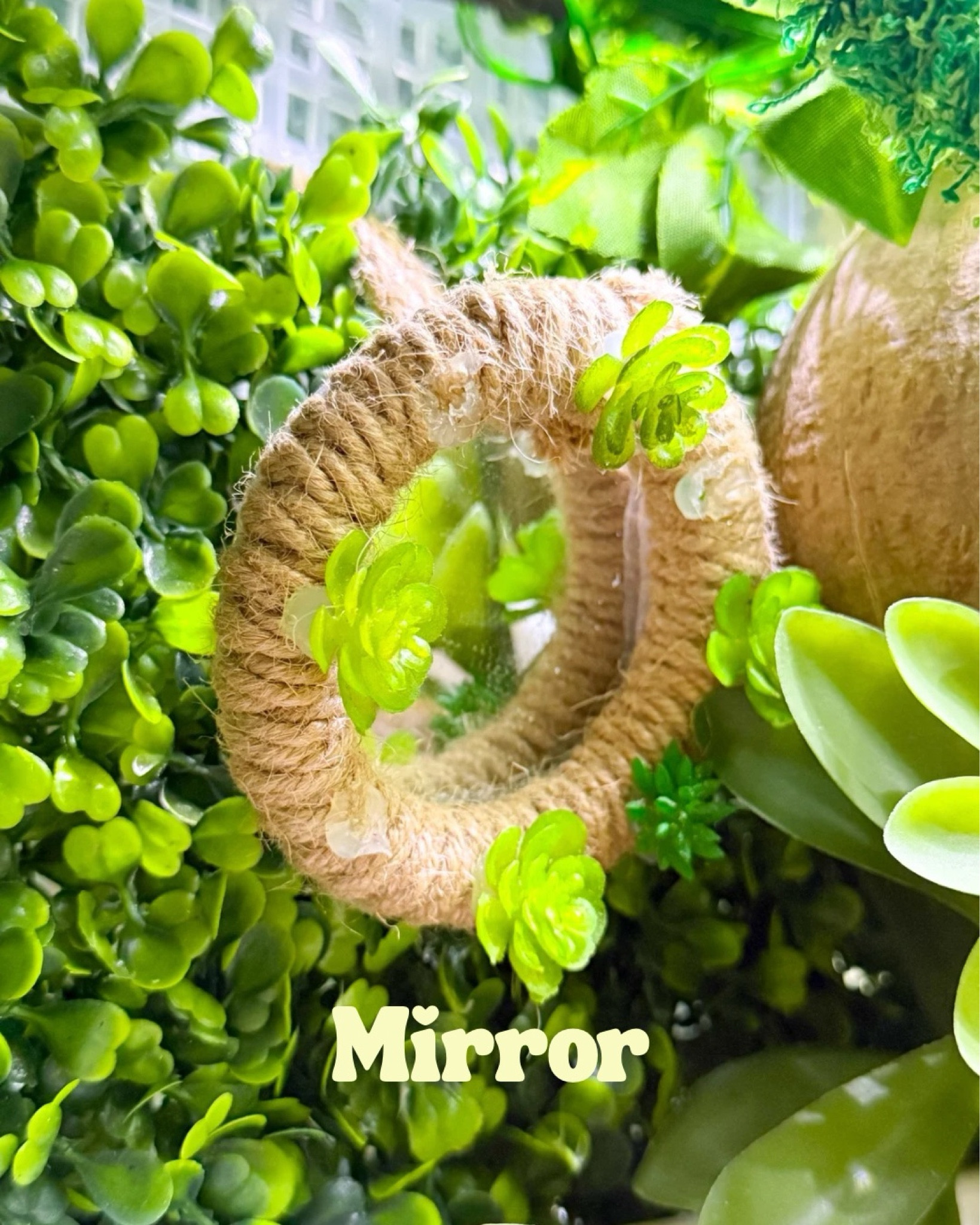 Cute mirror to add to your hermit crabs tank, perhaps at the shell shop!