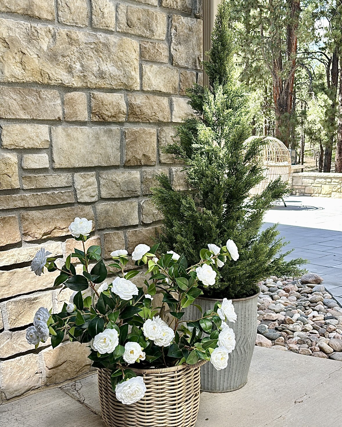 All time best seller faux cedar tree I keep buying on repeat! I’ve had some for 6 years and still look great with full sun exposure and harsh snowy winters. These faux rose plants look incredibly real!! Loved them so much instantly bought more! Everyone thinks they’re real!


#LTKSummerEdit #LTKHome #LTKSeasonal