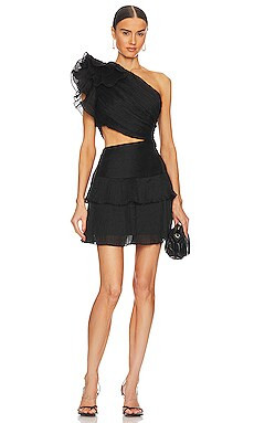 Ideals Mini Dress
                    
                    ELLIATT | Revolve Clothing (Global)