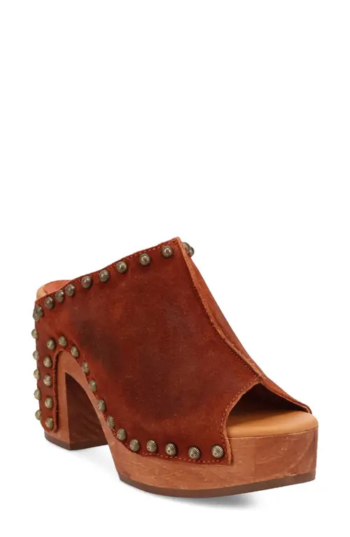 Dingo Echo Clog in Russet at Nordstrom, Size 9.5 | Nordstrom