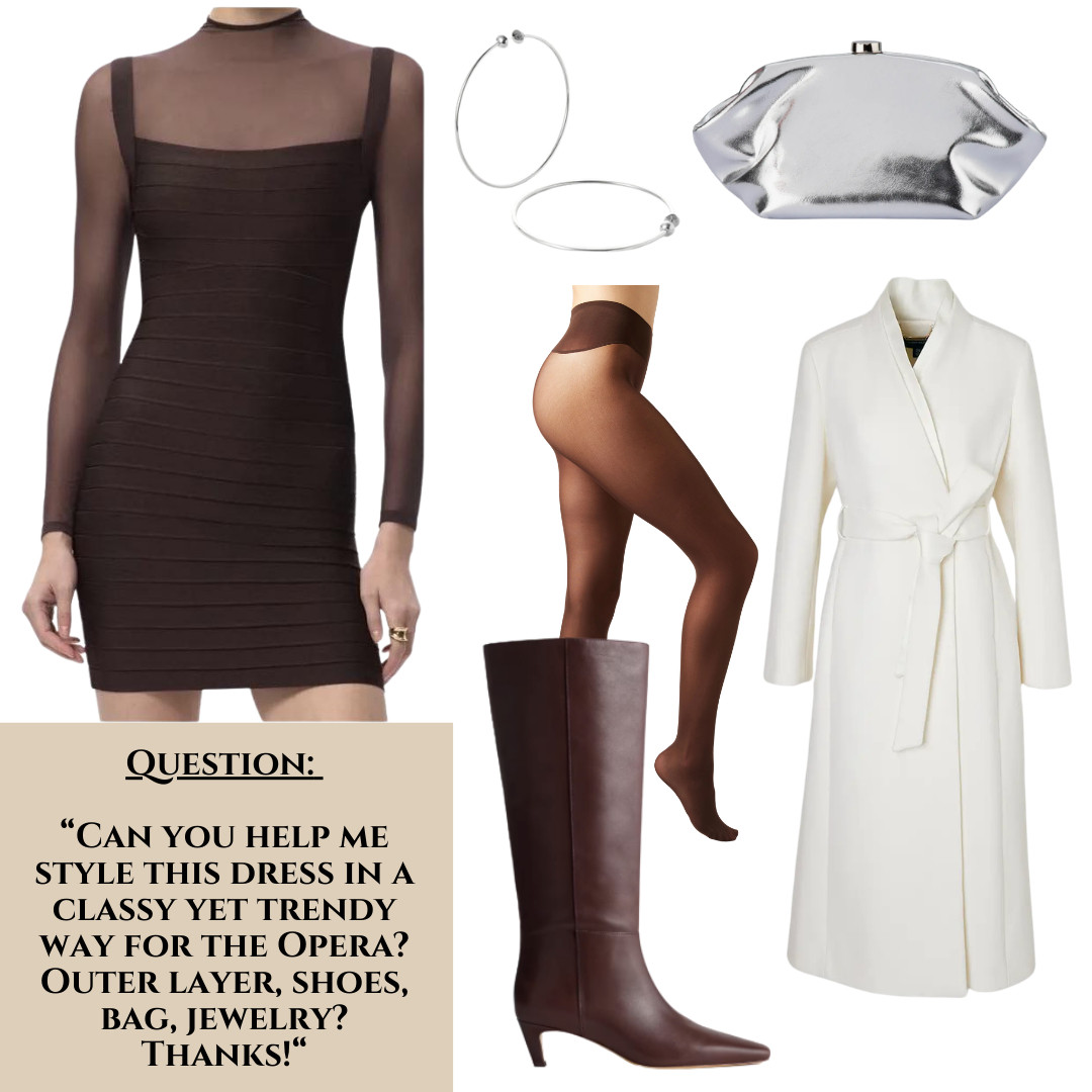 Question from EasilyDressed Group Member: 
Can you help me style this dress in a classy yet trendy way for the Opera?  Outer layer, shoes, bag, jewelry?  Thanks! 

 #LTKNYFW #LTKdayinmylife #LTKgrwm