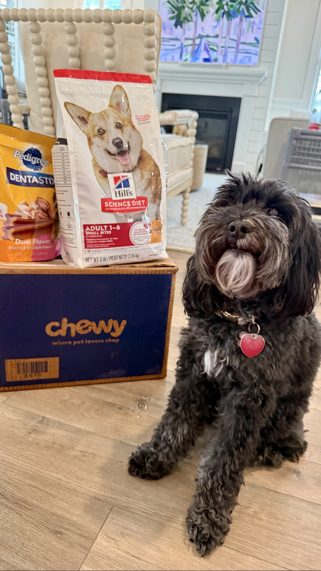 Duffy’s favorites just arrived from Chewy and he’s so happy! Chewy carries all of our favorite brands and quick shipping! Free 1-3 day delivery over $49. Free $30 e-gift card with your $100 order right now

#LTKHome #LTKmomlife