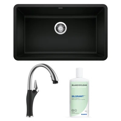Precis 30" L x 18" W Undermount Kitchen Sink with Faucet & Sink Cleaner | Wayfair North America