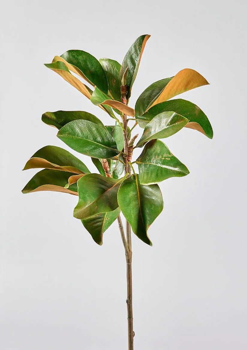 Faux Magnolia Leaf Branch - 41" | Afloral